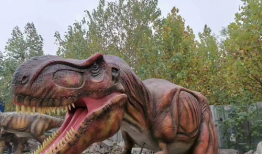 恐龙视频,揭秘史前巨兽的传奇与奥秘