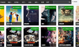 九七视频,揭秘网络世界的精彩瞬间